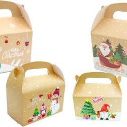 Κουτί χάρτινο lunch box 16x9x9εκ.  Χριστουγέννων (μεικτά σχέδια)