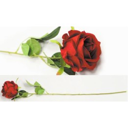 Τριαντάφυλλο κόκκινο 55cm Τριαντάφυλλο κόκκινο 55cm